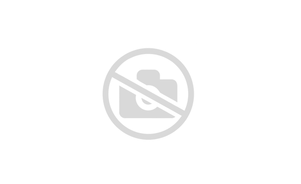 Кирпич облицовочный пустотелый МОСС ModFormat